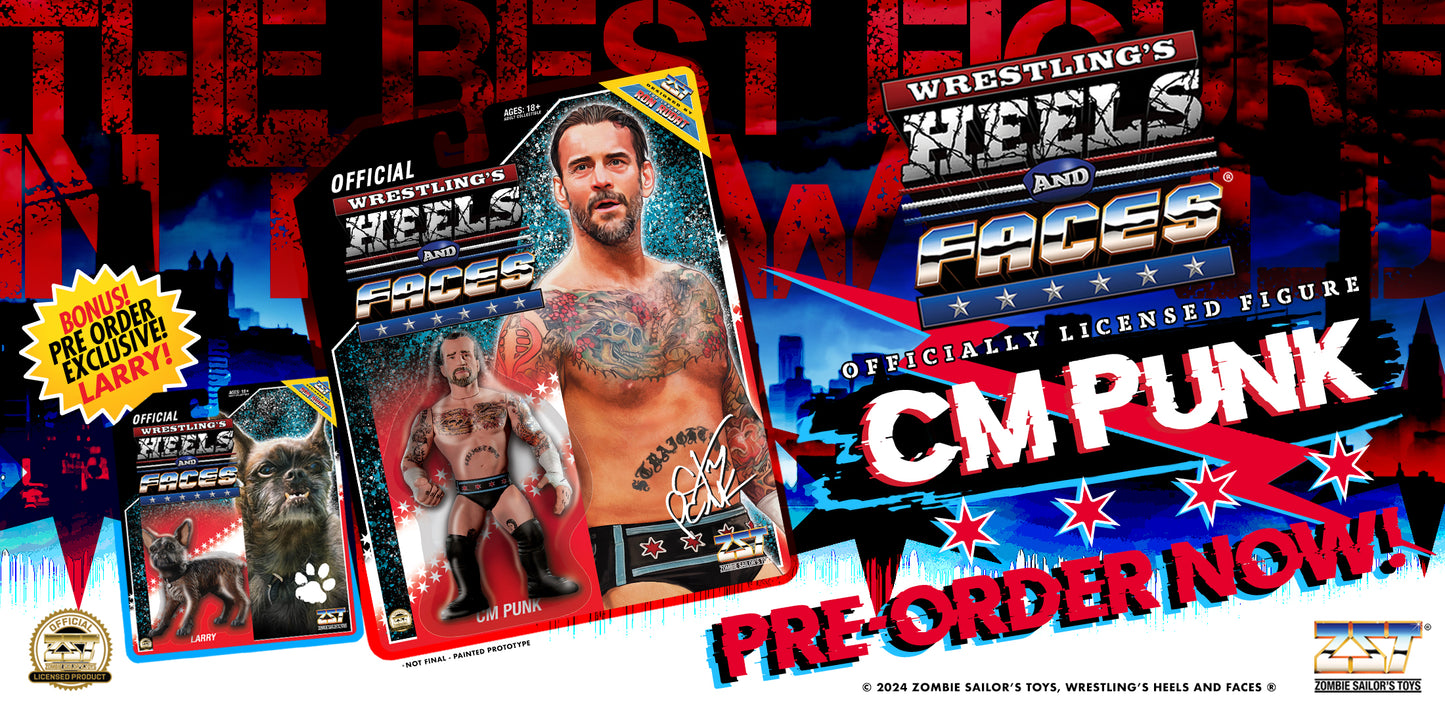 CM Punk Heels and Faces Action Figure with Larry Limited Edition - WWE