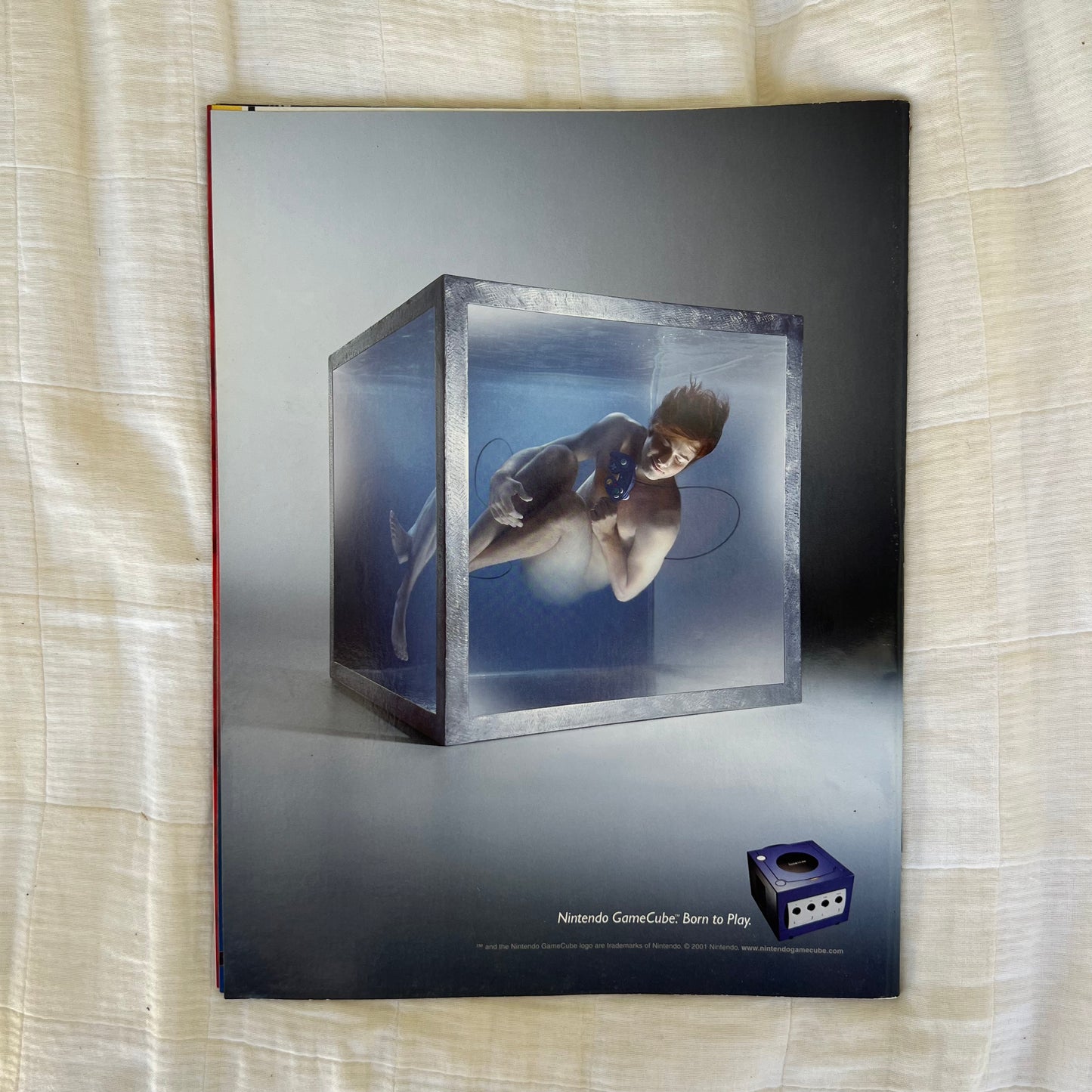 Stephanie - WWE WWF Magazine Retro Collectable Merchandise