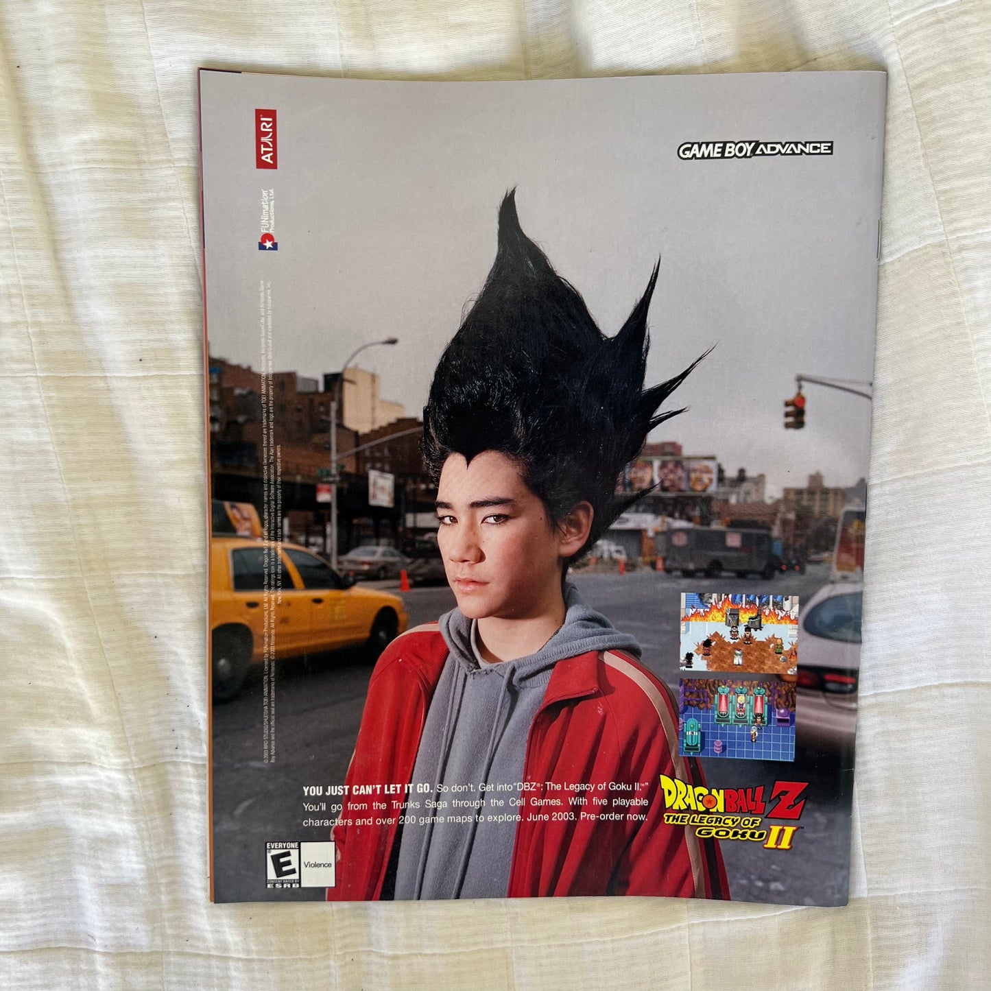 Matt Hardy - WWE WWF Magazine Retro Collectable Merchandise