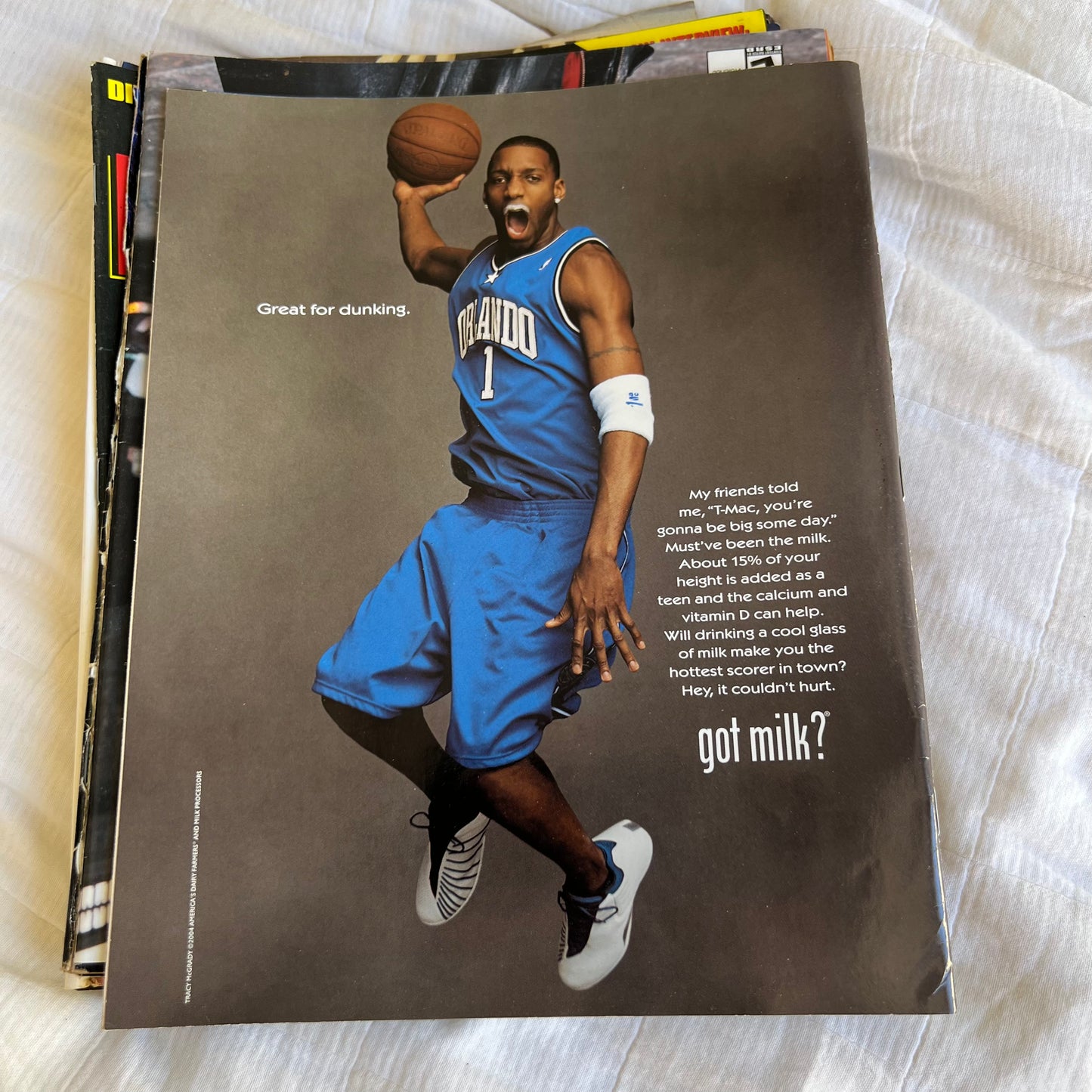 Garden Party - WWE WWF Magazine Retro Collectable Merchandise