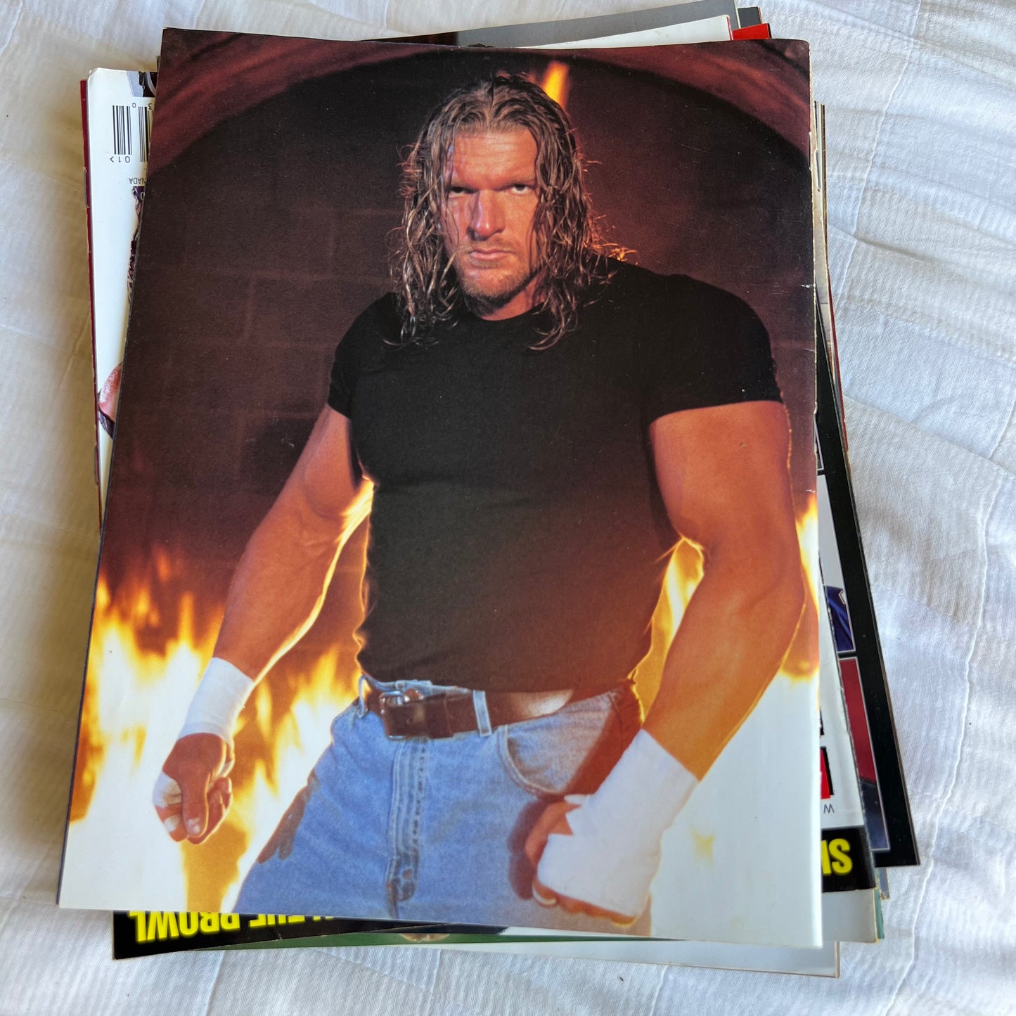 Triple H - WWE WWF Magazine Retro Collectable Merchandise