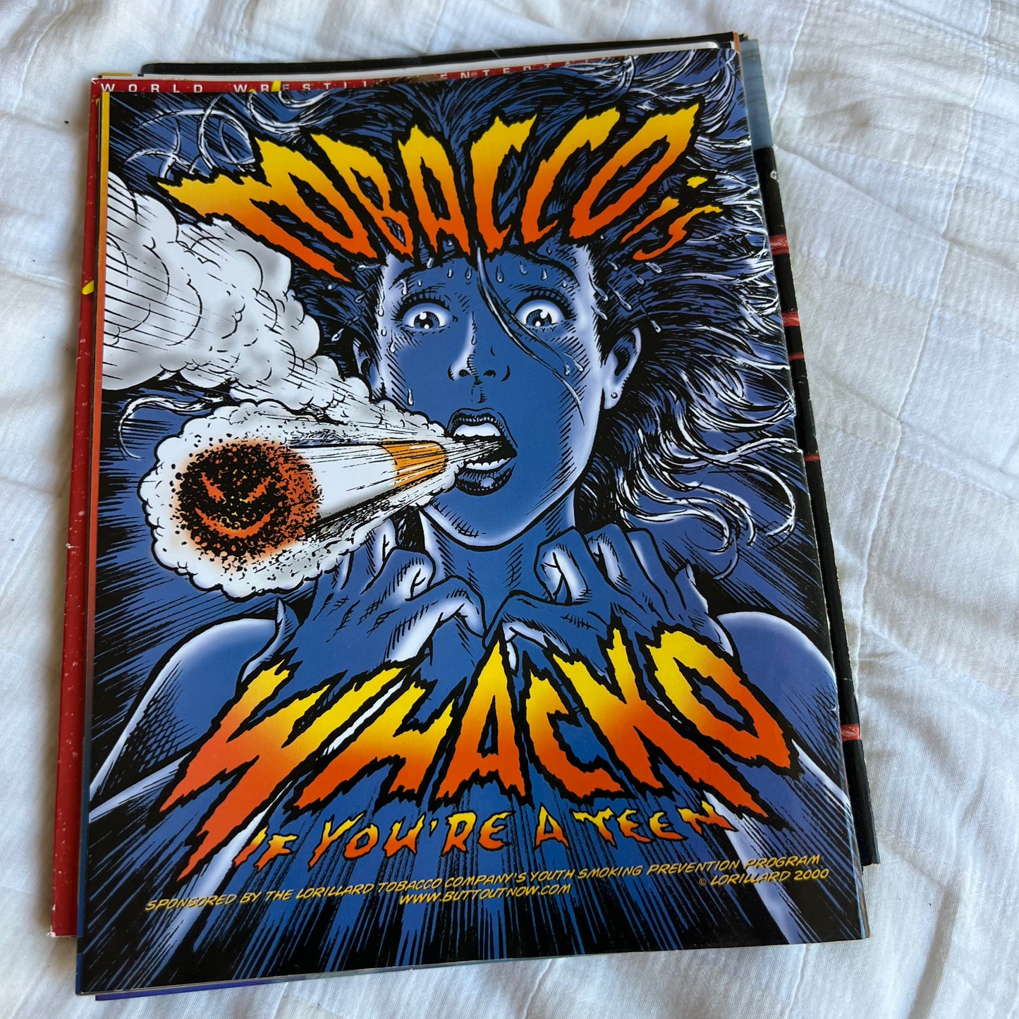 Lita - WWE WWF Magazine Retro Collectable Merchandise