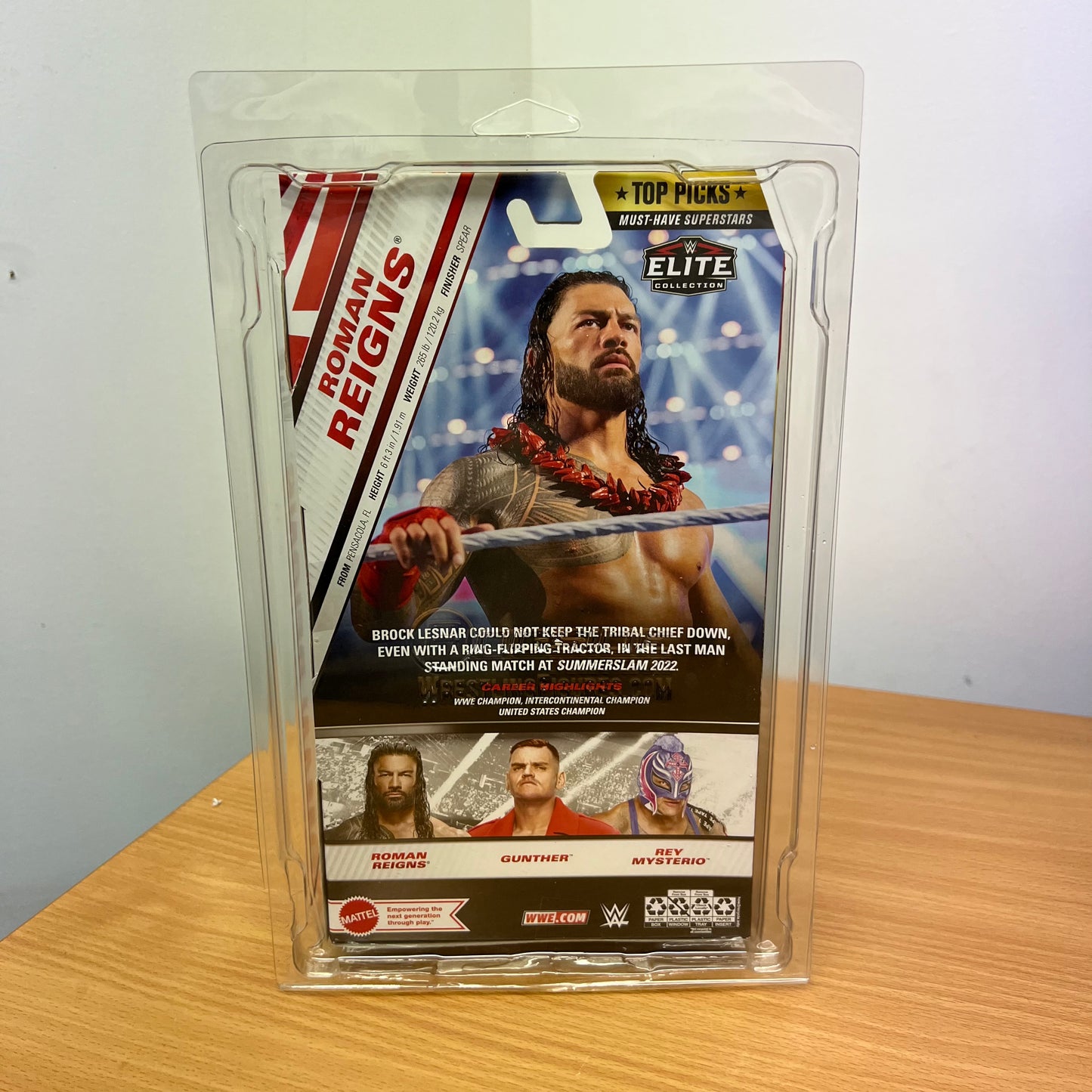 WWE Elite Collection Defender Protector Case for Action Figure