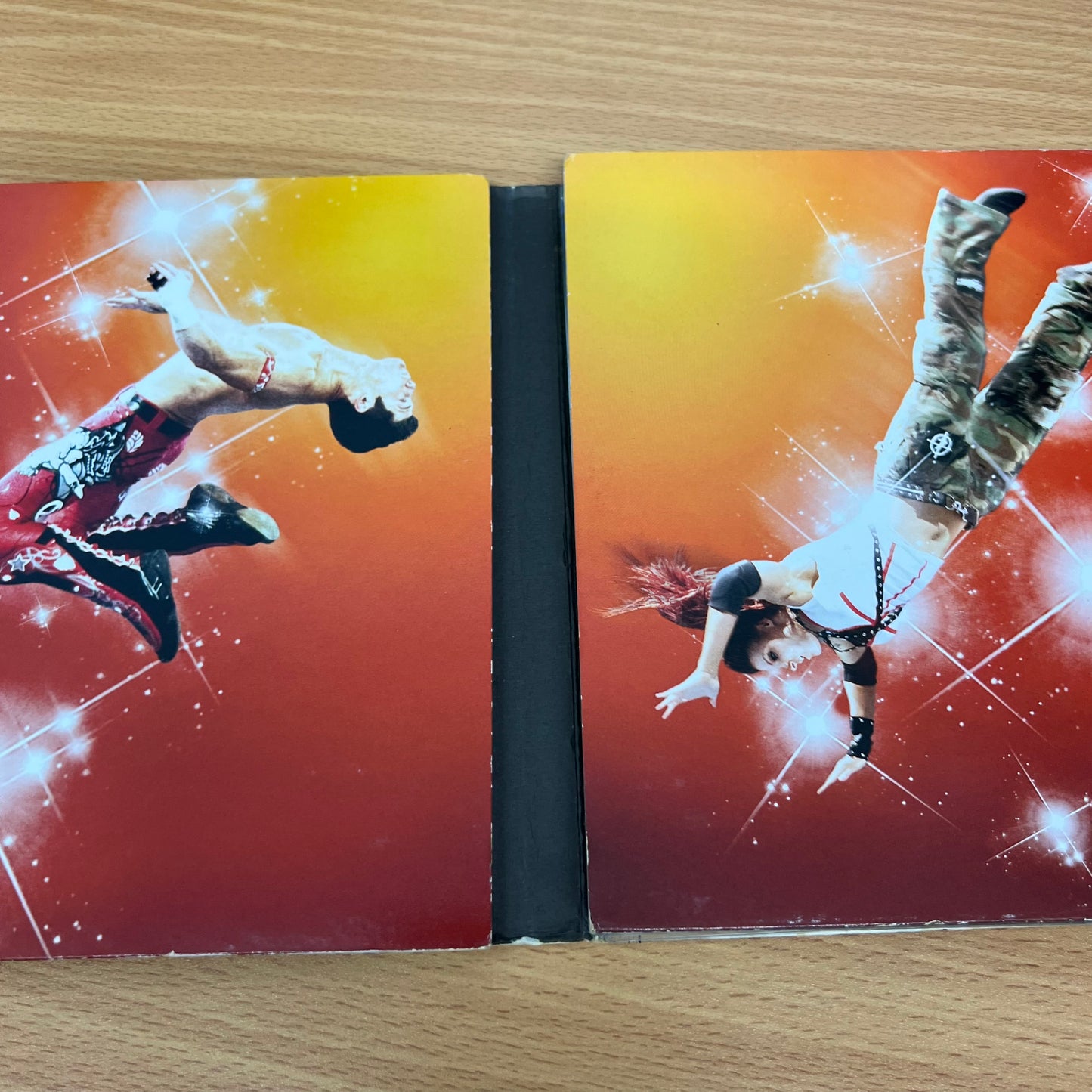 WWE - Wrestling's Highest Flyers (DVD, 2010, 3-Disc Set)