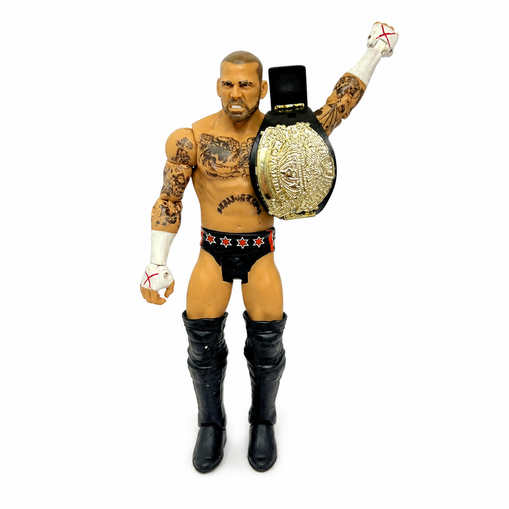 CM Punk With Championship Belt WWE Out Of Box Action Figure Mattel 2