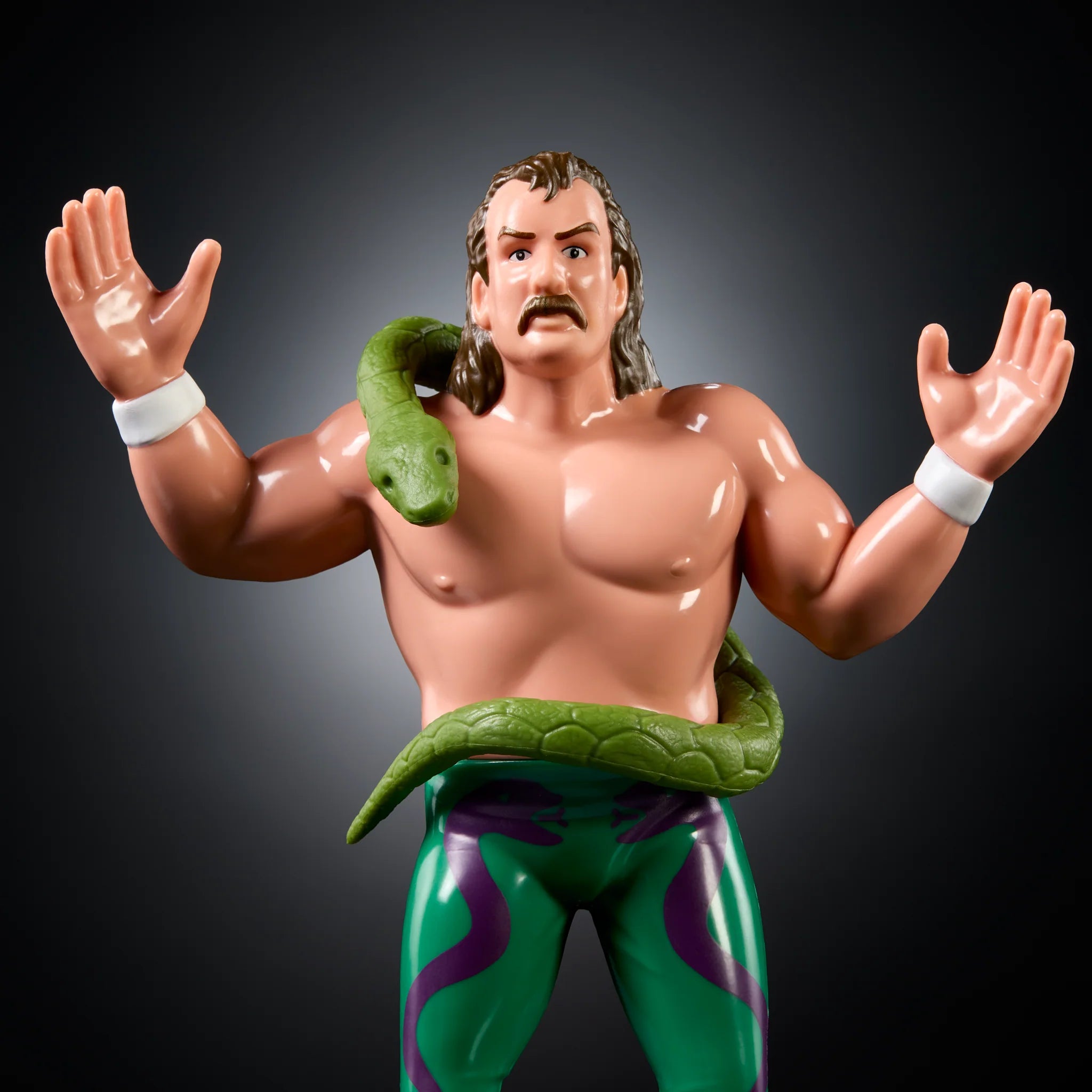 Jake The Snake Roberts WWE LJN Series 3 Retro Action Figure 2026