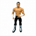 Matt Hardy WWE Elite 2 Out Of Box Action Figure Mattel 2