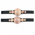 2 x WWE Penny Tag Team Action Figure Belt Title Championship Mattel