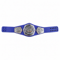 WWE NXT Cruiserweight Action Figure Belt Title Championship Mattel