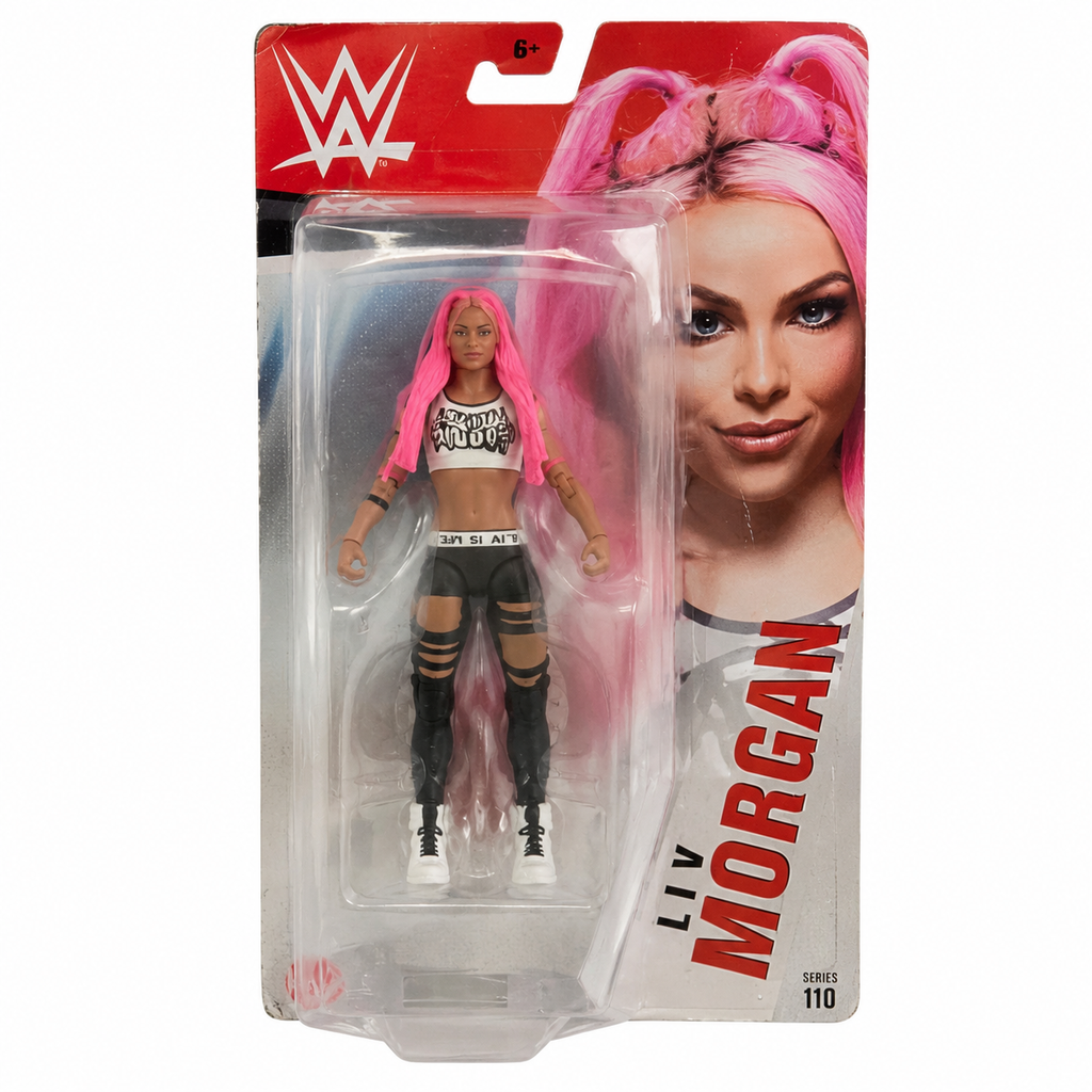 DMG BOX Liv Morgan WWE Basic Series 110 Action Figure