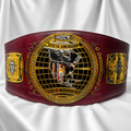 NXT North American Championshiped Signed Dominik Mysterio WWE Replica Title Belt