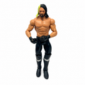 Seth Rollins WWE Out Of Box Action Figure Mattel 2