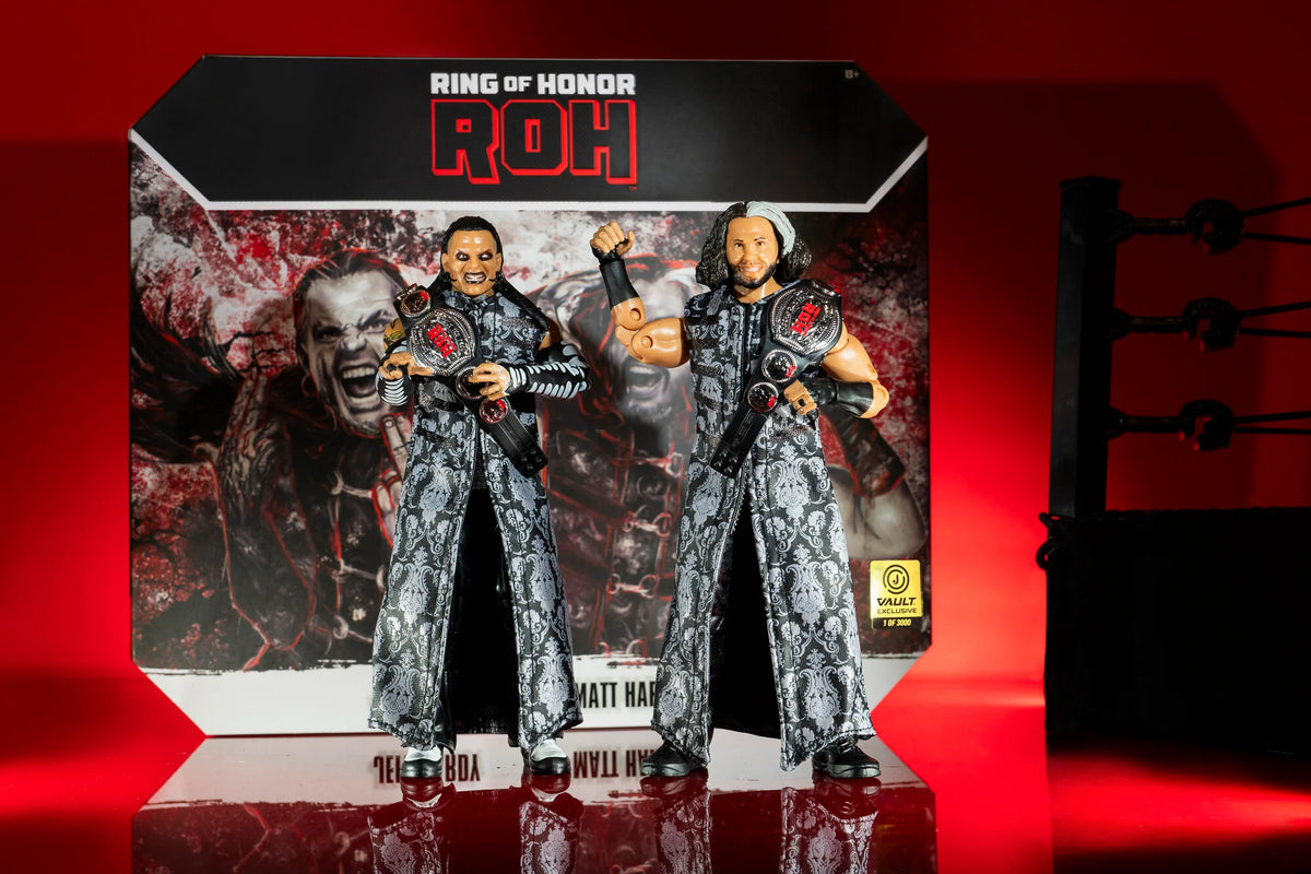 AEW ROH Jeff Hardy and Matt Hardy Hardy Boyz 2 Pack Action Figures WWE