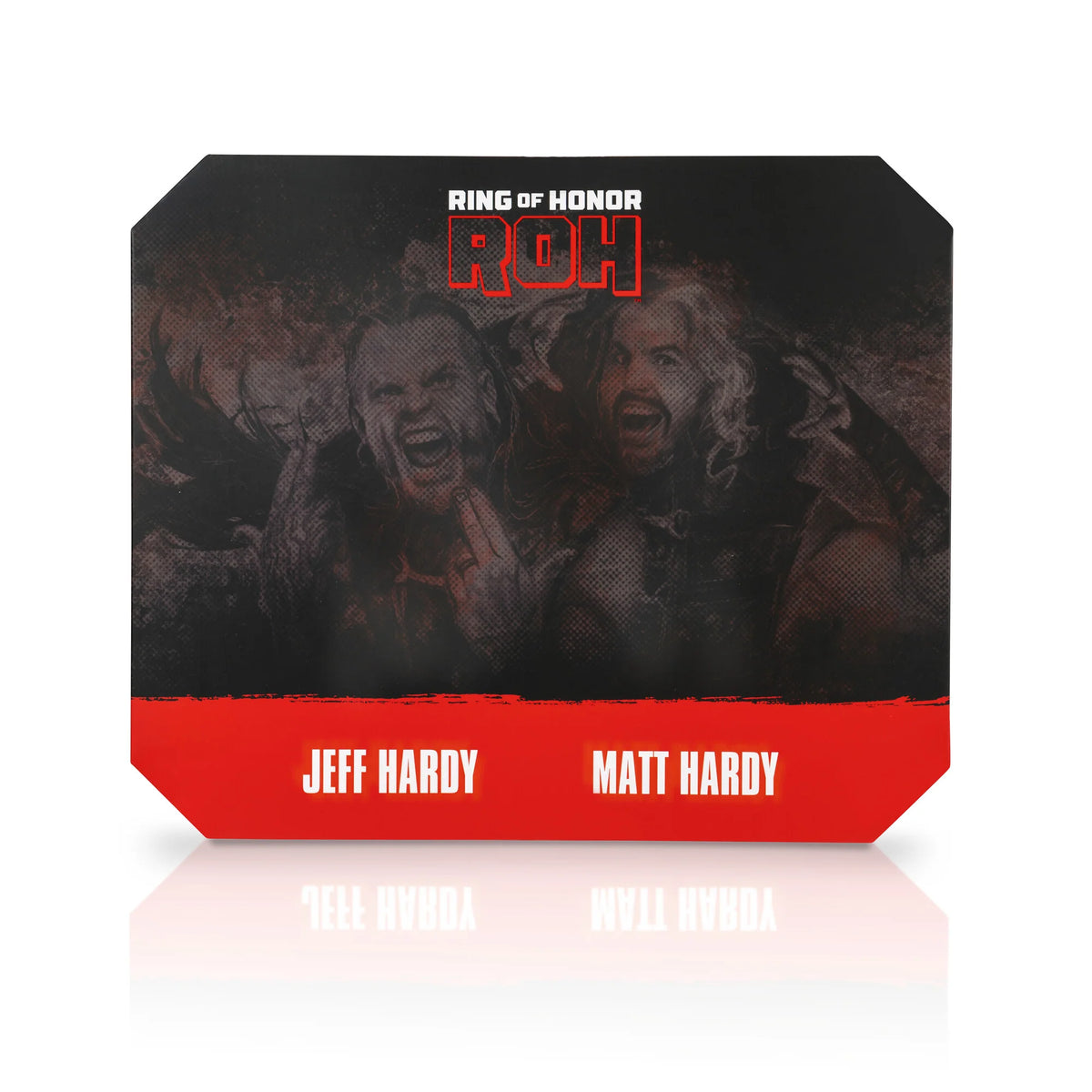 AEW ROH Jeff Hardy and Matt Hardy Hardy Boyz 2 Pack Action Figures WWE