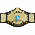 WWE Winged Eagle Championship Kids Roleplay Title Belt Toy Mattel USED