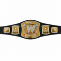 WWE Championship Spinner John Cena Replica Title Belt WWE Shop Authentic