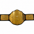 WWE World Heavyweight Championship Replica Title Belt Authentic