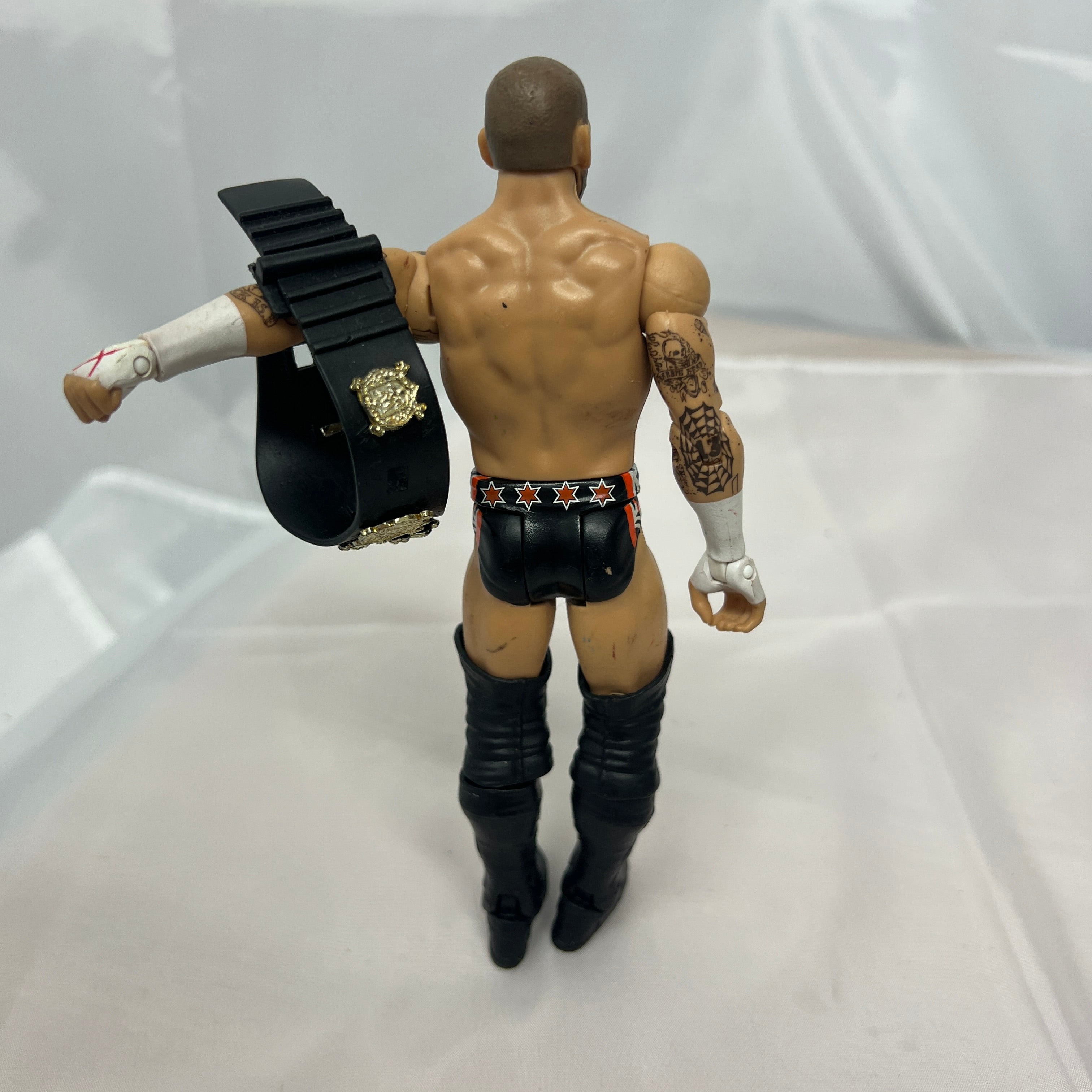 CM Punk With Championship Belt WWE Out Of Box Action Figure Mattel 2