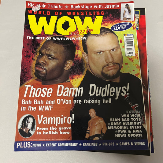 Dudley Boys - WOW WWE WCW WWF Magazine Retro Collectable Authentic