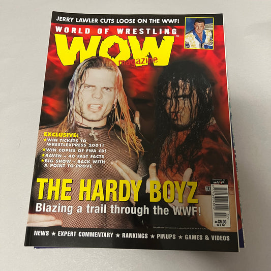 The Hardy Boys - WOW WWE WCW WWF Magazine Retro Collectable Authentic