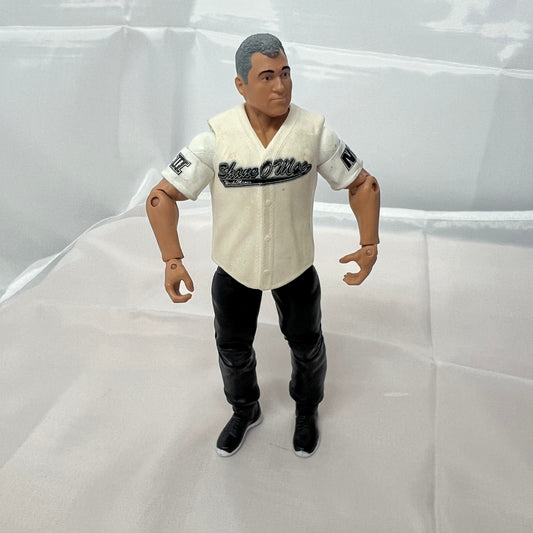 Shane Mcmahon - WWE Loose Action Figure Mattel WWE 2
