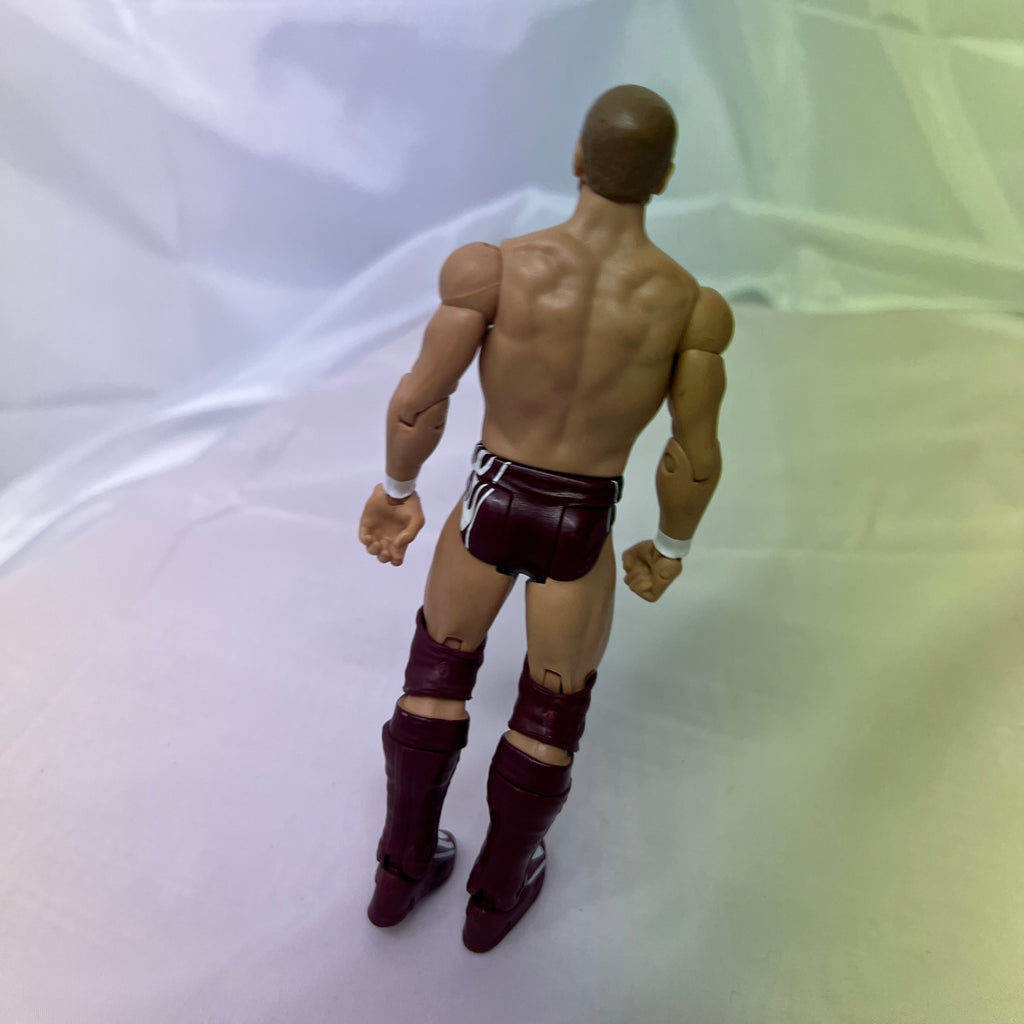Daniel Bryan WWE Out Of Box Action Figure Mattel WWE 1