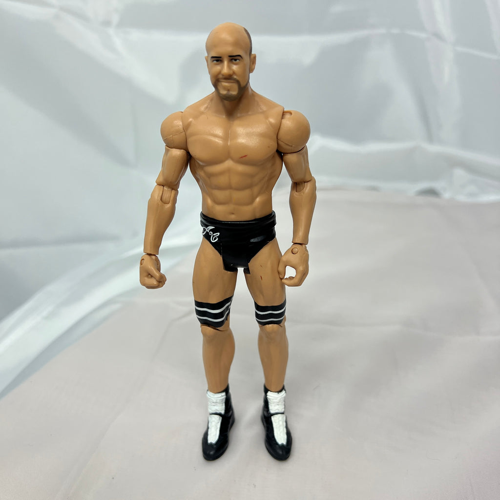 Cesaro WWE Out Of Box Action Figure Mattel WWE 1