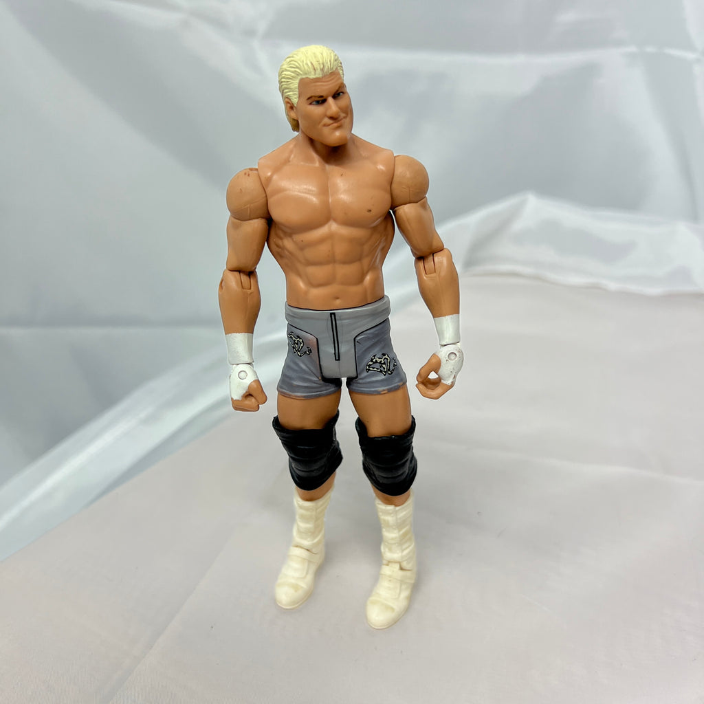 Dolph Ziggler WWE Out Of Box Action Figure Mattel WWE 1