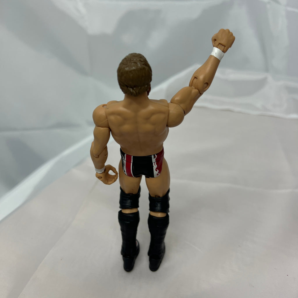 Daniel Bryan WWE Out Of Box Action Figure Mattel WWE 1