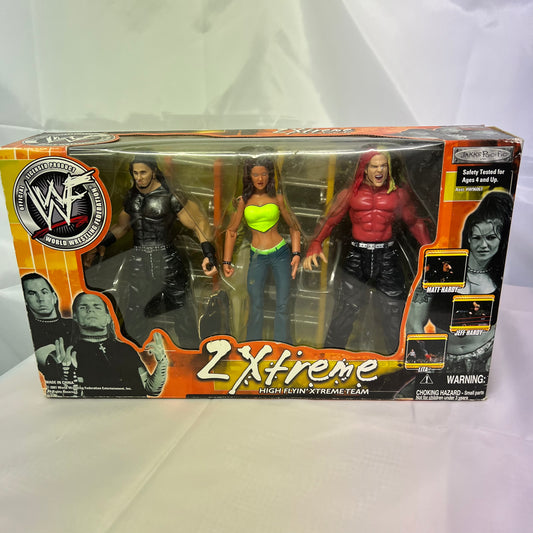 2 Xtreme Hardy Boys and Lita - WWE 3 Pack Jakks Action Figures