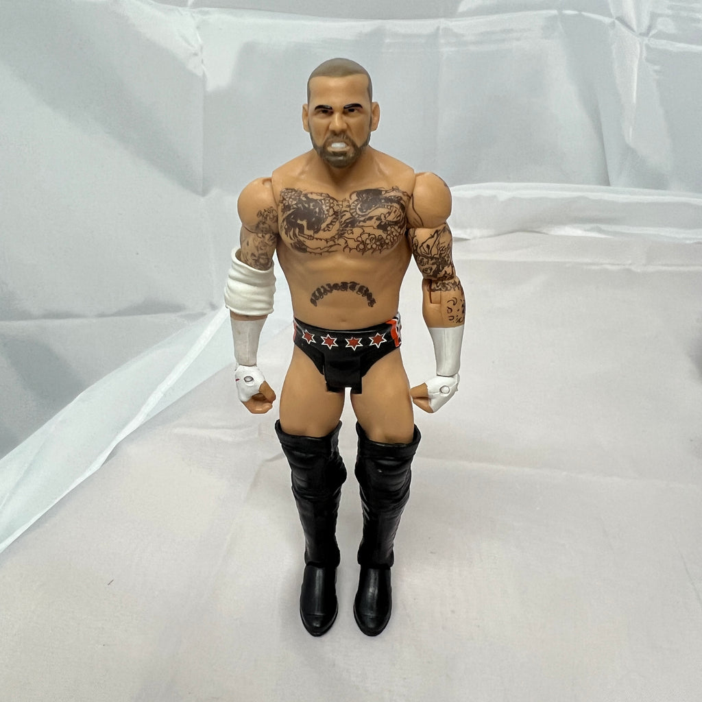 CM Punk WWE Out Of Box Action Figure Mattel WWE 2