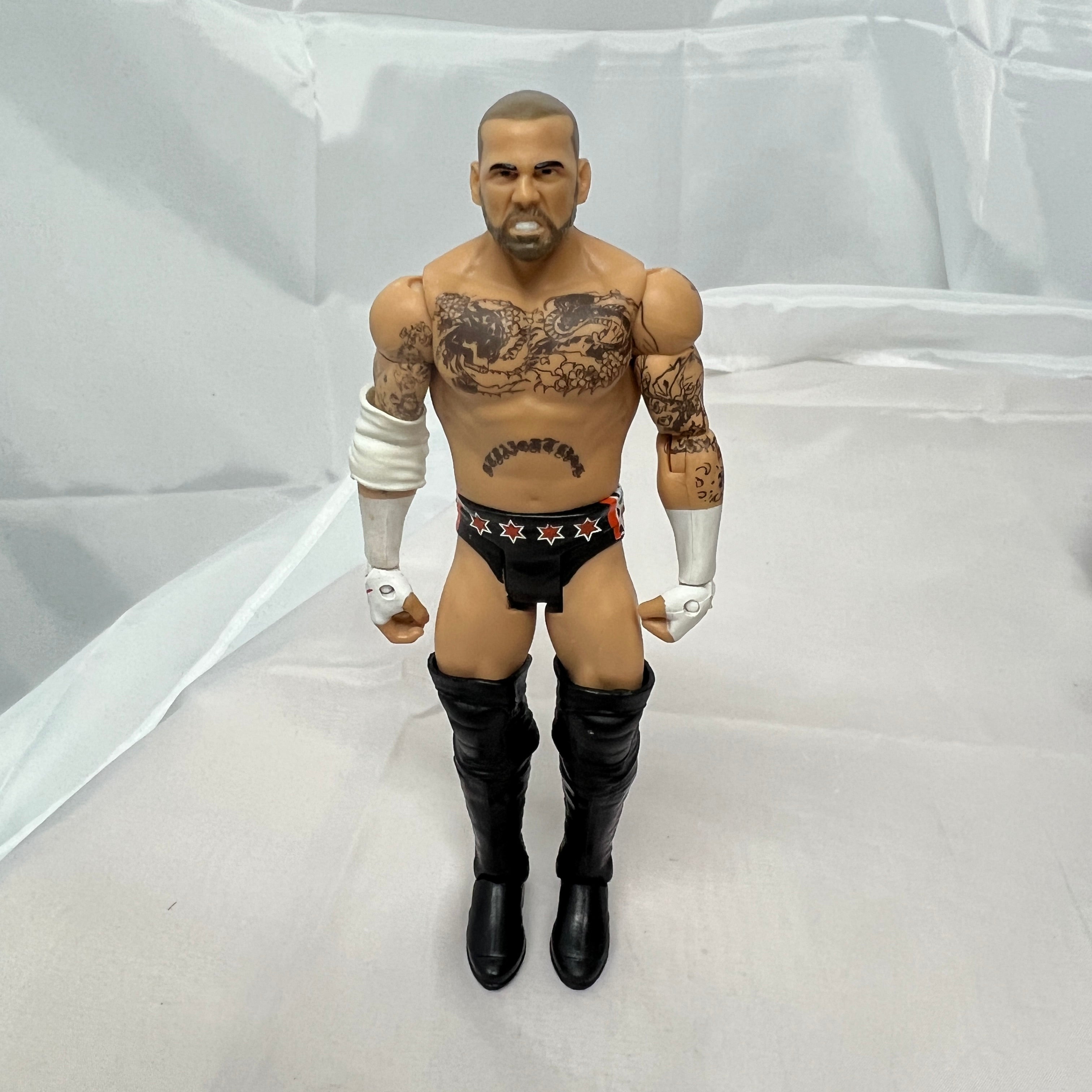 CM Punk WWE Out Of Box Action Figure Mattel WWE 2
