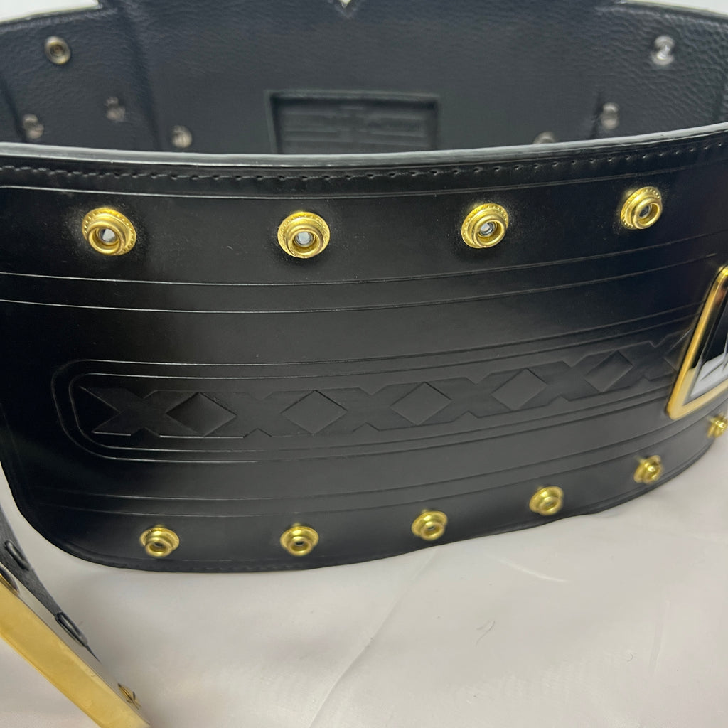 WWE NXT Championship Belt Replica 2014 V1 with Dust Cover Authentic