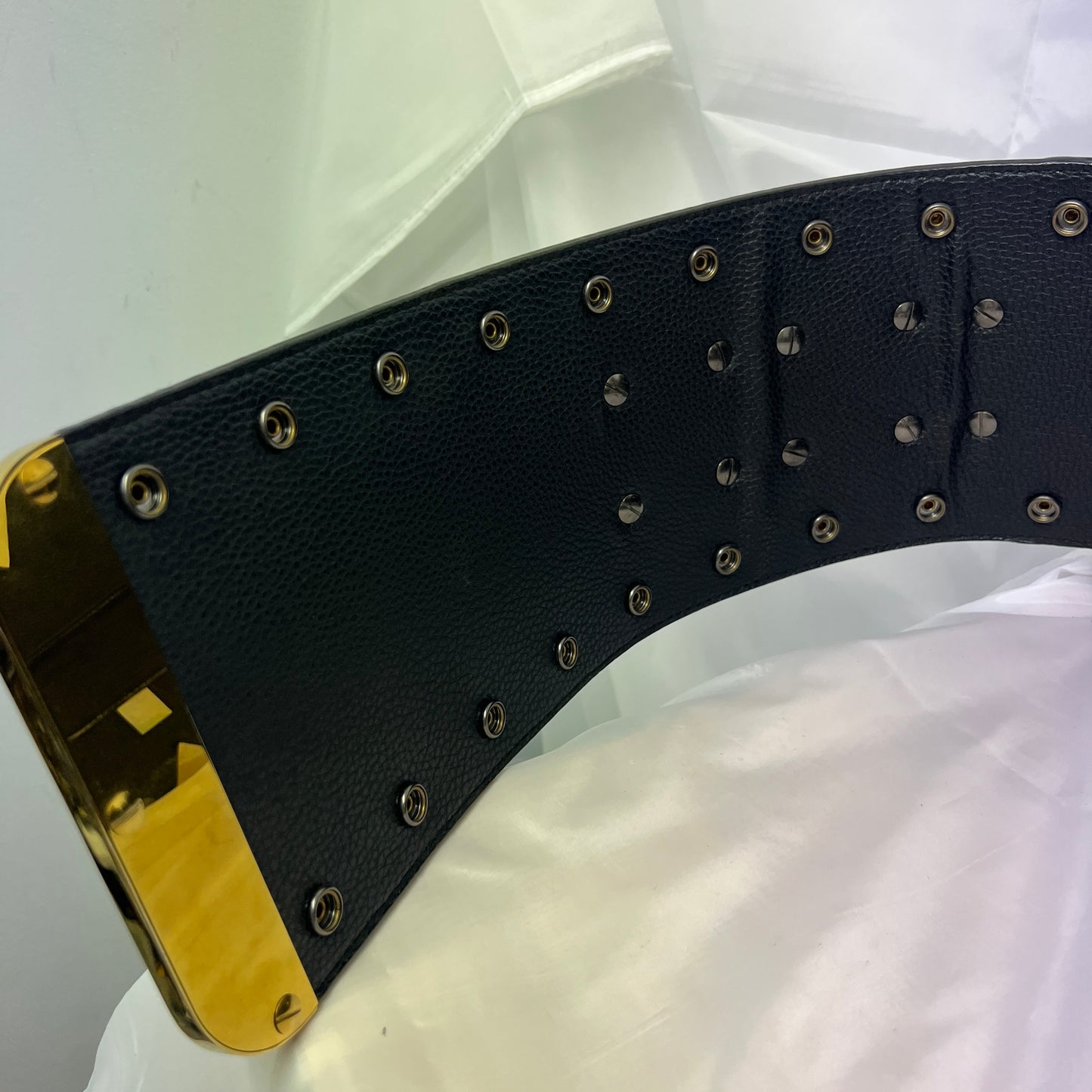 WWE NXT Championship Belt Replica 2014 V1 with Dust Cover Authentic