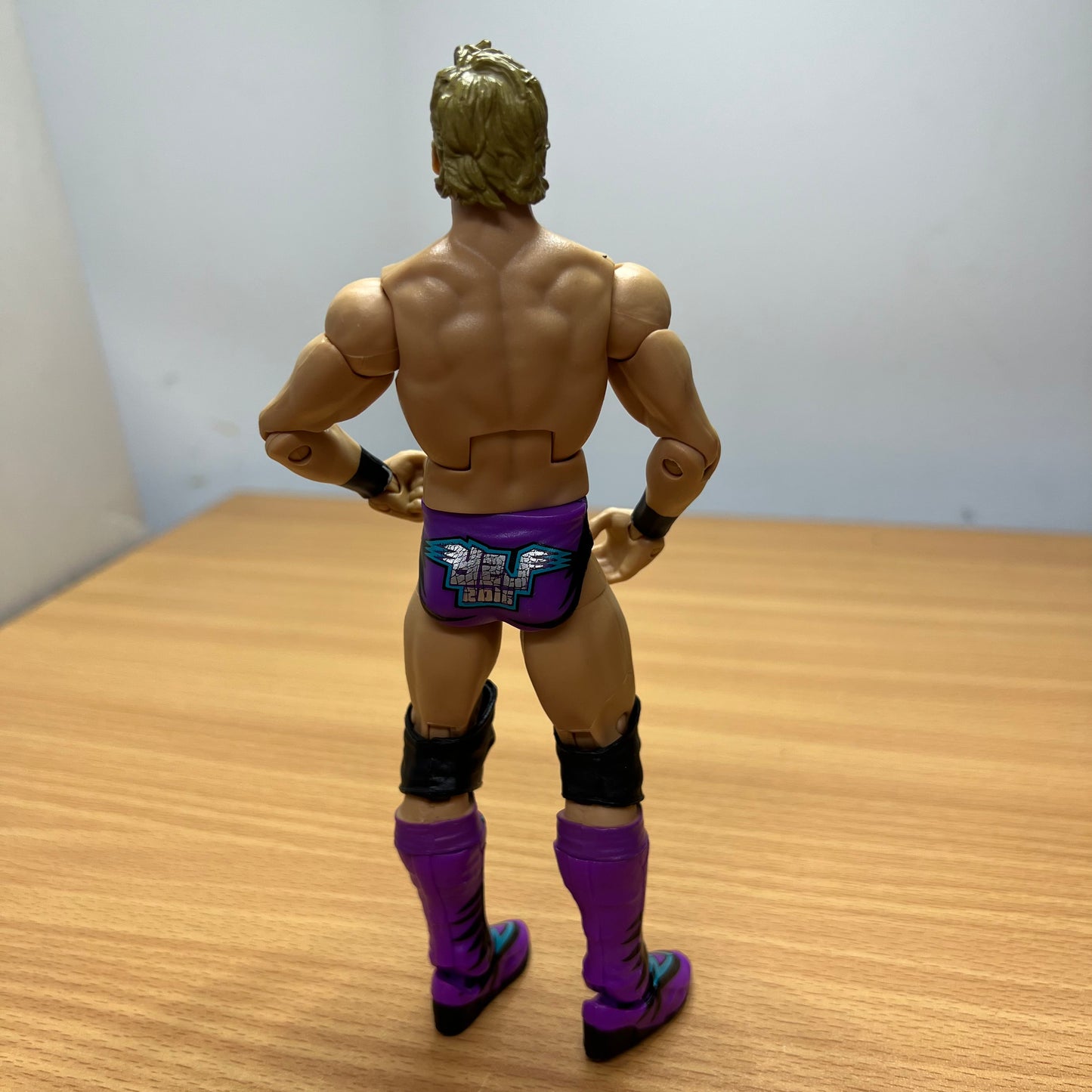 Chris Jericho - WWE Loose Action Figure Toy Wrestler