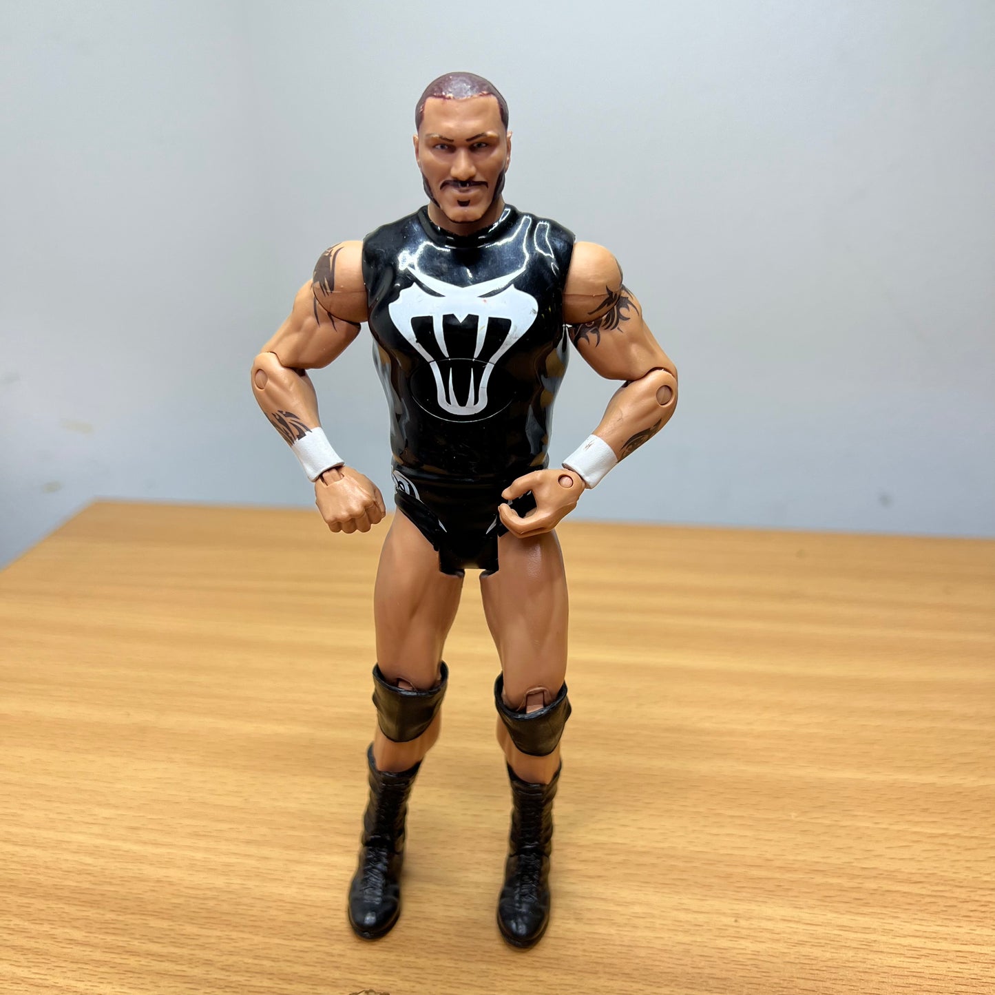 Randy Orton - WWE Loose Action Figure Toy Wrestler