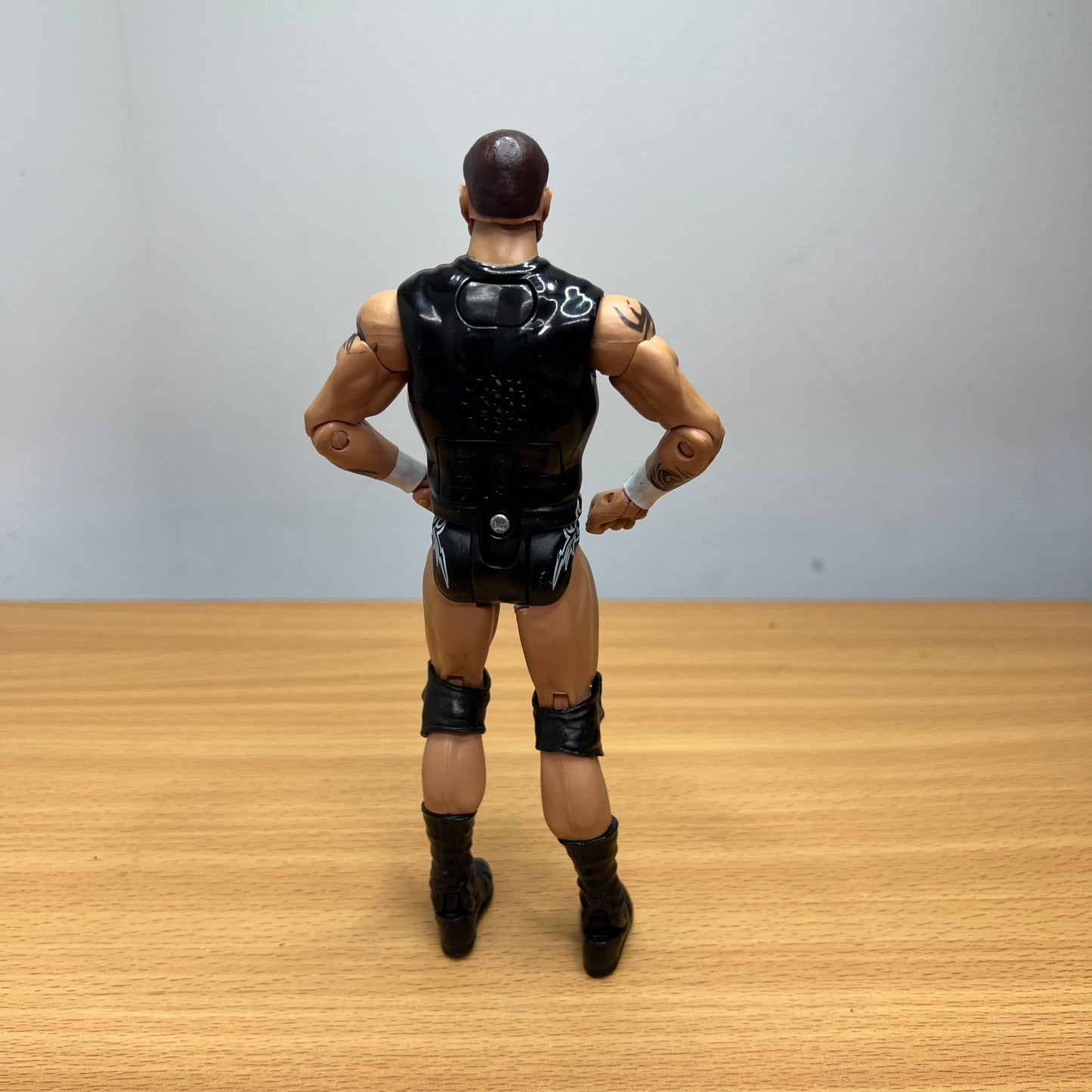 Randy Orton - WWE Loose Action Figure Toy Wrestler