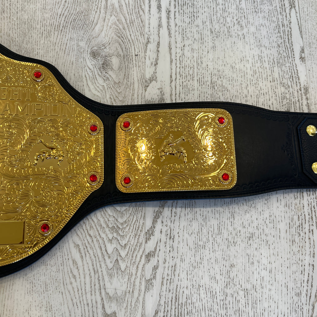 WWE World Heavyweight 2002 Retro Championship Replica Title Belt WWE Authentic