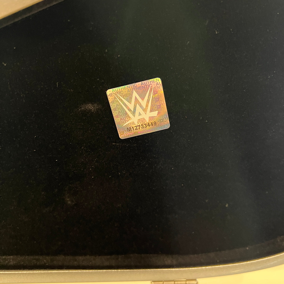 The Undertaker WWE 30 Years Signature Series Championship Mini Replica Title Belt