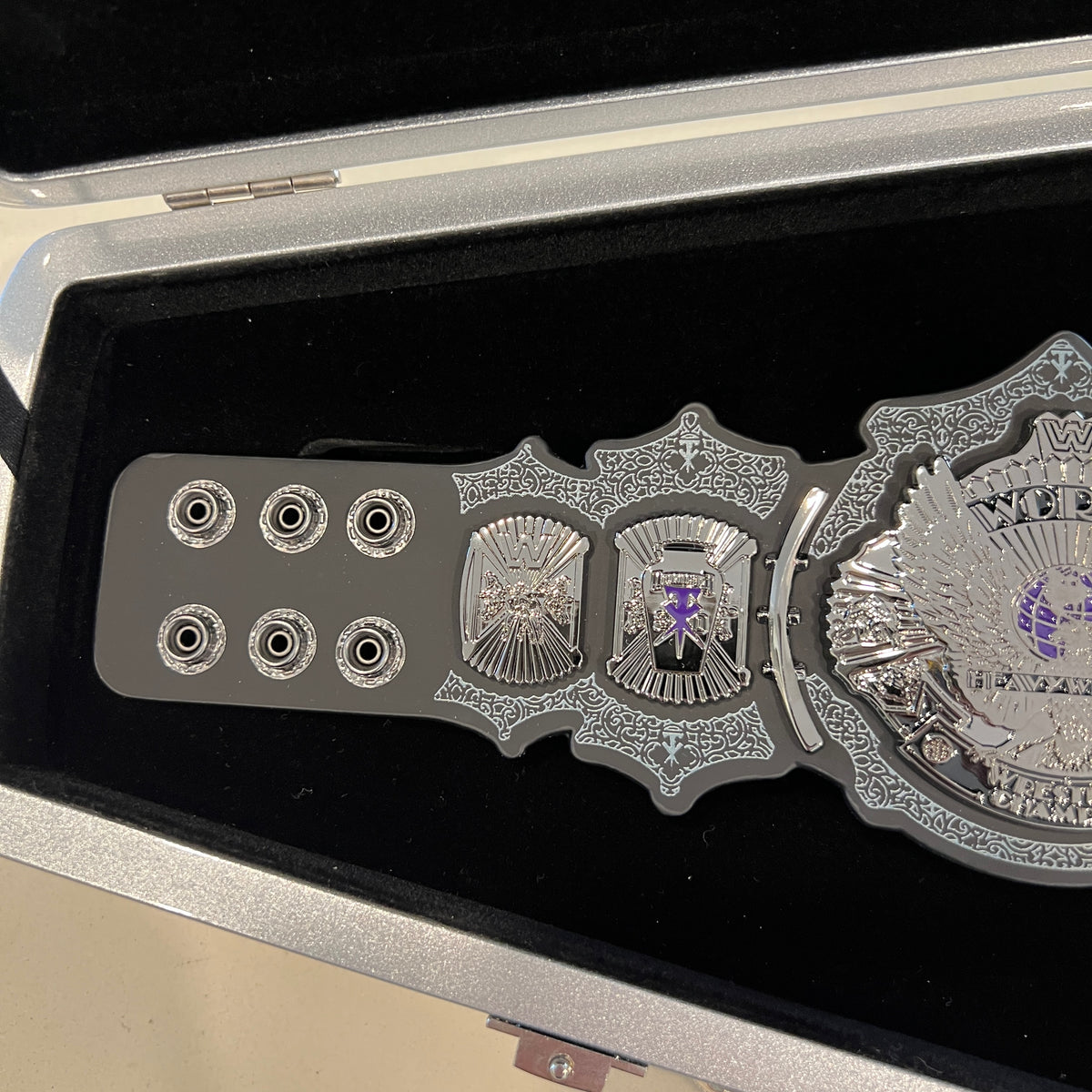 The Undertaker WWE 30 Years Signature Series Championship Mini Replica Title Belt