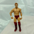 Daniel Bryan WWE Series Out Of Box Action Figure Mattel 5