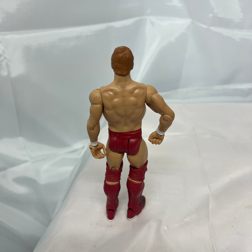 Daniel Bryan WWE Series Out Of Box Action Figure Mattel 5