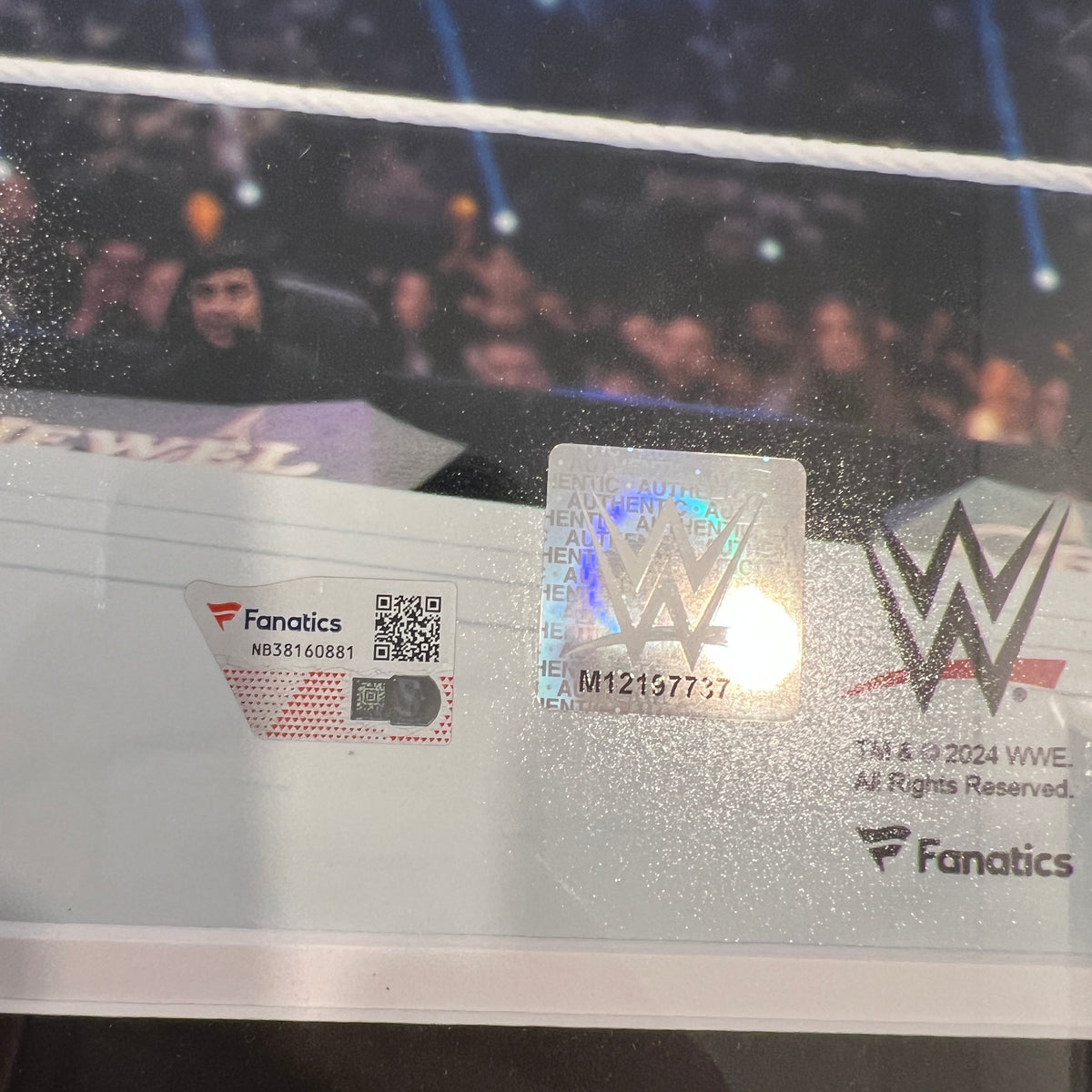 Roman Reigns WWE Autographed 16" x 20" Crown Jewel 2022 vs. Logan Paul Framed