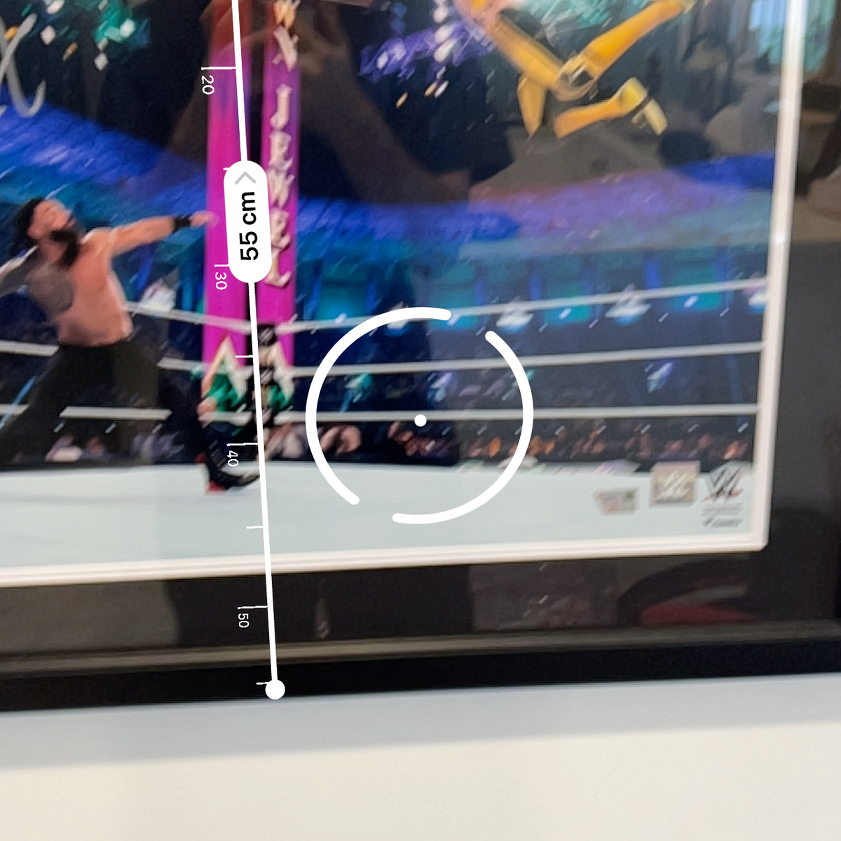 Roman Reigns WWE Autographed 16" x 20" Crown Jewel 2022 vs. Logan Paul Framed