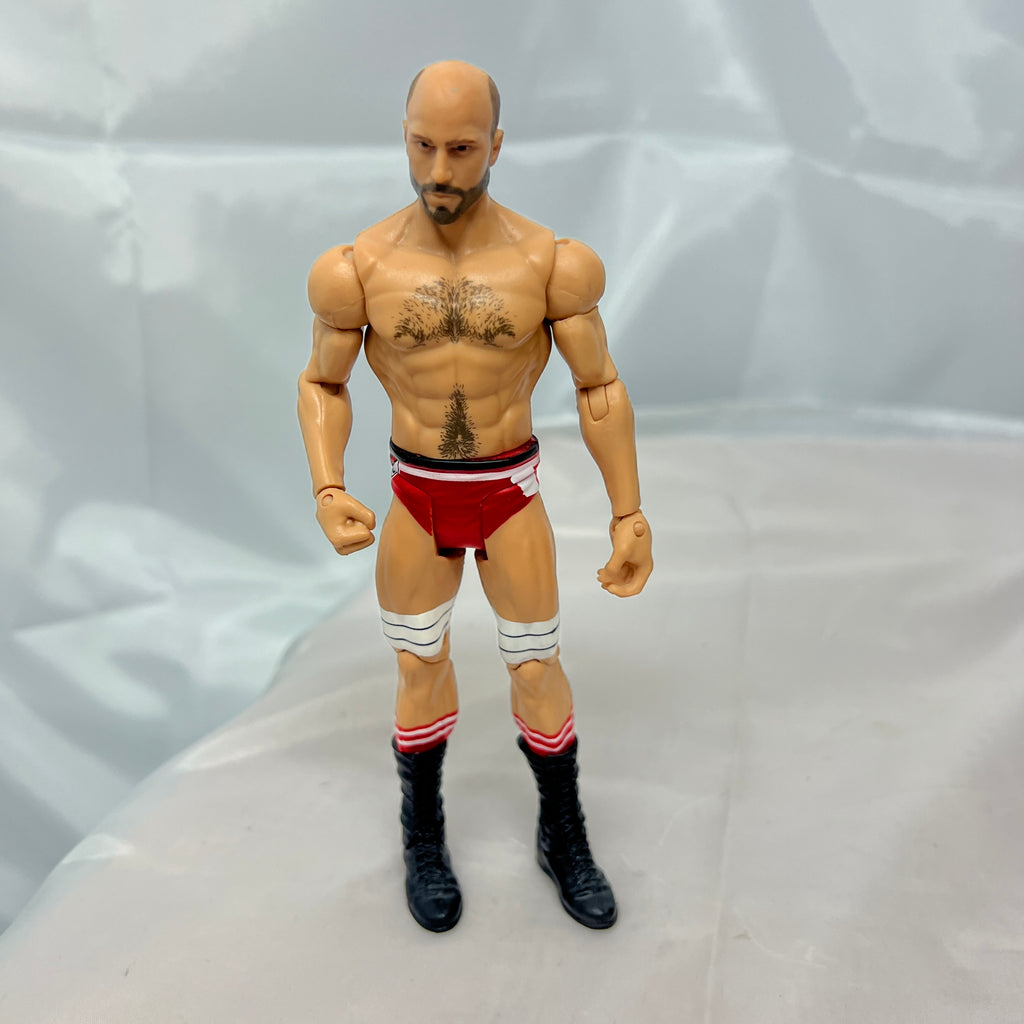 Cesaro WWE Series Out Of Box Action Figure Mattel 5