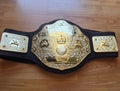 WWE World Heavyweight Championship Roleplay Belt Kids Title