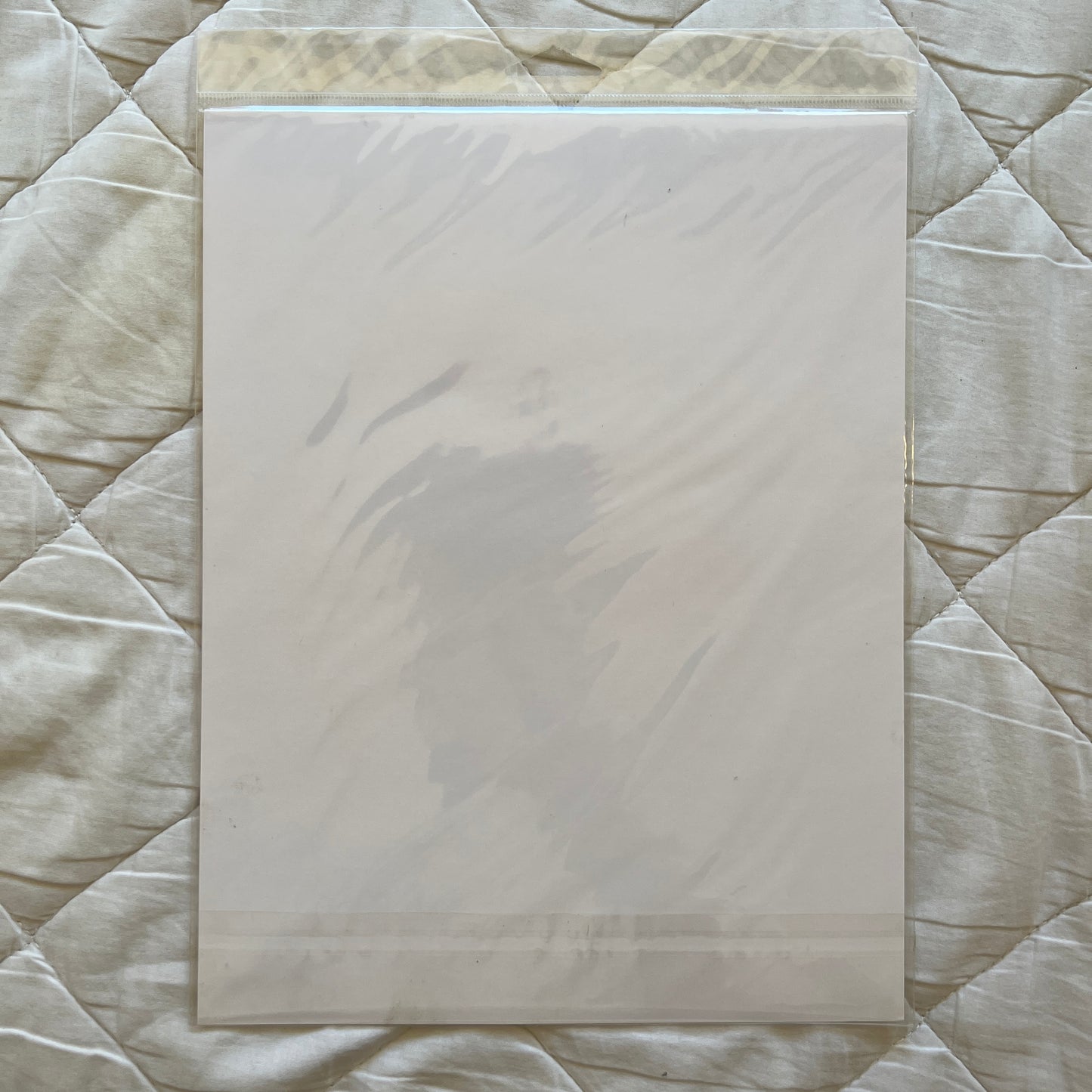 John Cena Autographed Signed WWE 8 x 10 Promo Picture