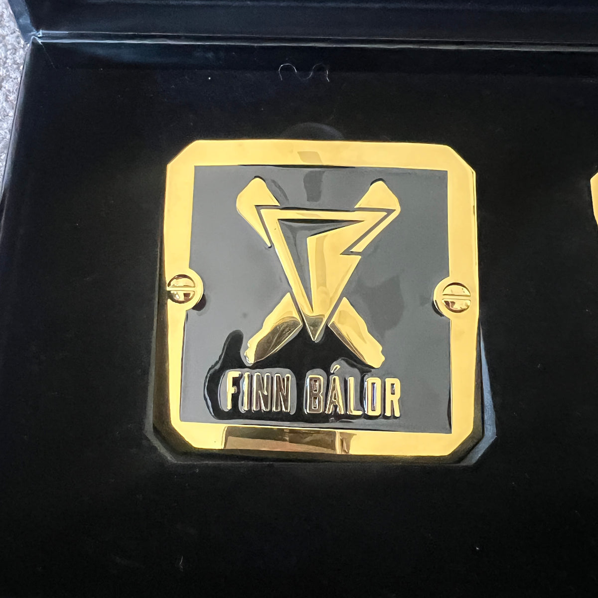 WWE Finn Balor Side Plates for Championship Replica Title Belt WWE Shop Authentic