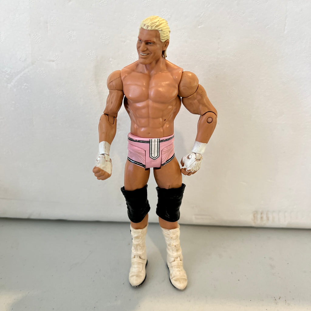 Dolph Ziggler WWE Out Of Box Action Figure Mattel 6