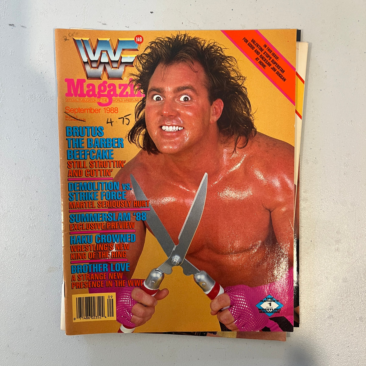 Brutus Beefcake WWF WWE Magazine 1990s Retro Wrestling Merchandise Collectable 1